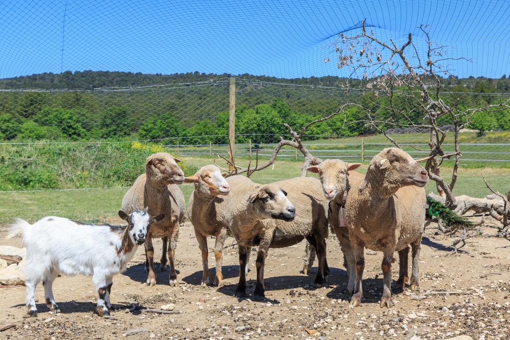 Lou Mas Li Pitchoun "Le Luberon " Villa Gordes Luaran gambar