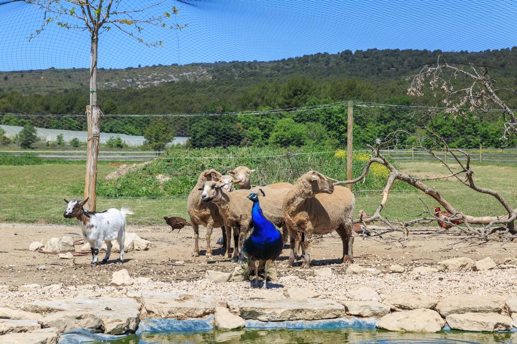 Lou Mas Li Pitchoun "Le Luberon " Villa Gordes Luaran gambar