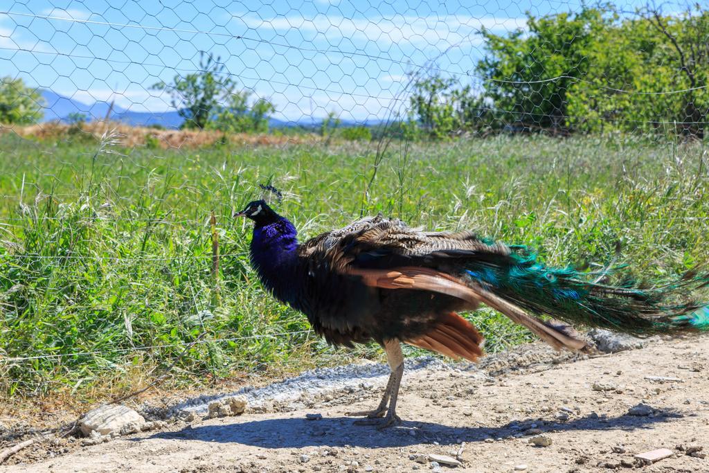 Lou Mas Li Pitchoun "Le Luberon " Villa Gordes Luaran gambar